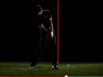 Tiger.jpg