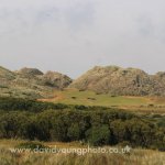 08-07-2014 - SLDR birthday- dy - 09158.jpg