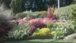 Flower border at putting green.jpg