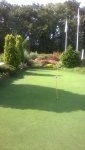 putting green.jpg