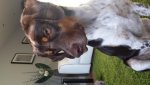 20140303_160801.jpg 20140303_160801.jpg