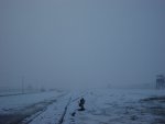 DSC03082 (600 x 450).jpg