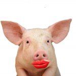 6a00e5536e6520883301538f92698f970b.jpg 6a00e5536e6520883301538f92698f970b.jpg