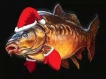 Fish Xmas.jpg