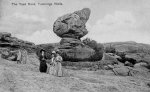 TWellsToadRock1910.jpg