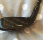 IMG_7310.jpg IMG_7310.jpg