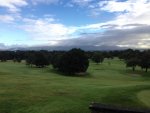 IMG_0737.jpg