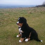 16586994_10154943080835786_5688704278084680113_o.jpg 16586994_10154943080835786_5688704278084680113_o.jpg