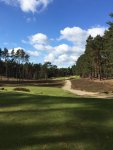 Sunningdale 1.jpg