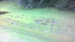 WP_20170919_15_46_50_Pro.jpg