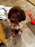rupert feeling better.jpg rupert feeling better.jpg