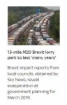 Brexit Lorry Park.jpg