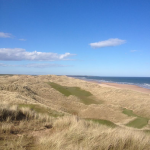 Trump 14th.png Trump 14th.png