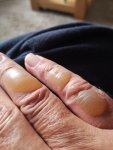 IMG_20190626_200449.jpg