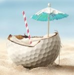 sunshine golf_small.jpg