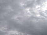 p1010001.JPG