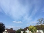 757B798E-E782-4C2D-B894-259EED34D118.jpeg