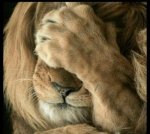 100971979_3160622914023564_5271117932502450176_n.jpg 100971979_3160622914023564_5271117932502450176_n.jpg