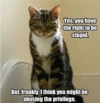 F9407900-872C-4884-980E-0F5A08739E46.jpeg F9407900-872C-4884-980E-0F5A08739E46.jpeg