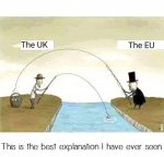 130990679_1763471323801182_6334623900633778671_oeu stealingr.jpg