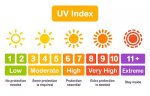 UV-index-scale (1).jpg