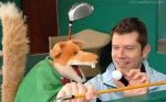 basil brush.jpg