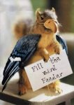 squirrel.jpg