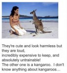 WhatsApp Image 2021-03-25 at 16.17.30kangaroo.jpeg