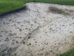 IMG_20210330_180226.jpg