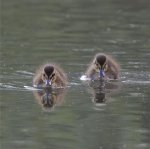 Screenshot 2021-06-10 at 19.00.41.jpg Screenshot 2021-06-10 at 19.00.41.jpg