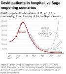 Reopening Scenarios.jpg