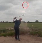 Untitled.jpghh.jpg Untitled.jpghh.jpg