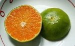 green orange.jpg