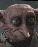 vladmir-putin-totally-looks-like-dobby-from-harry-potter.jpg