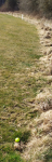 1648474205126.png 1648474205126.png