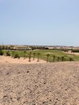 golf 5.jpg