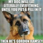 Screen Shot 2022-08-01 at 14.44.21.png