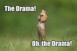Oh, the drama.jpg