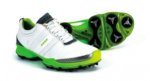 Ecco-Biom-golf-shoes.jpg