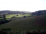 Colmer03.JPG