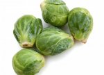 sprouts.jpg