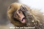What has just happened..jpg What has just happened..jpg