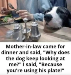 Screen Shot 2023-03-01 at 18.26.34.png