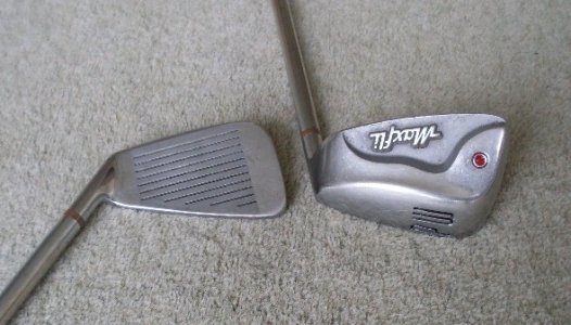 SDC11378.JPG SDC11378.JPG