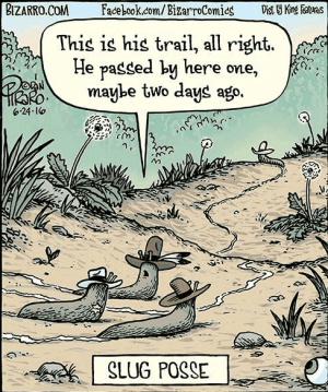 Screen Shot 2023-04-26 at 17.07.07.png