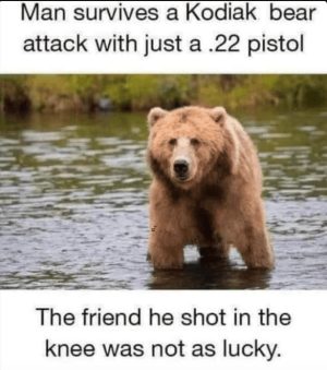 Screen Shot 2023-05-07 at 08.33.34.png