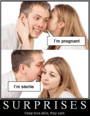 Screen Shot 2023-05-07 at 08.37.49.png