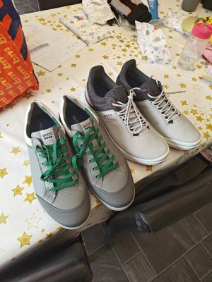 IMG20230525152925_copy_1024x1365.jpg IMG20230525152925_copy_1024x1365.jpg