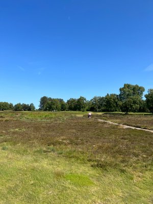 cf02efc2-1154-43bb-adcb-f8d67bfe65db.jpeg cf02efc2-1154-43bb-adcb-f8d67bfe65db.jpeg