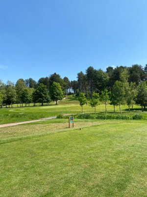 ccb8c258-825b-49bb-b1f4-c7a6dc3ee490.jpg ccb8c258-825b-49bb-b1f4-c7a6dc3ee490.jpg